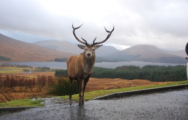 VƯƠNG QUỐC ANH ANH – SCOTLAND – XỨ WALE 9N8Đ